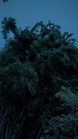 time with you ends so quickly 🥀