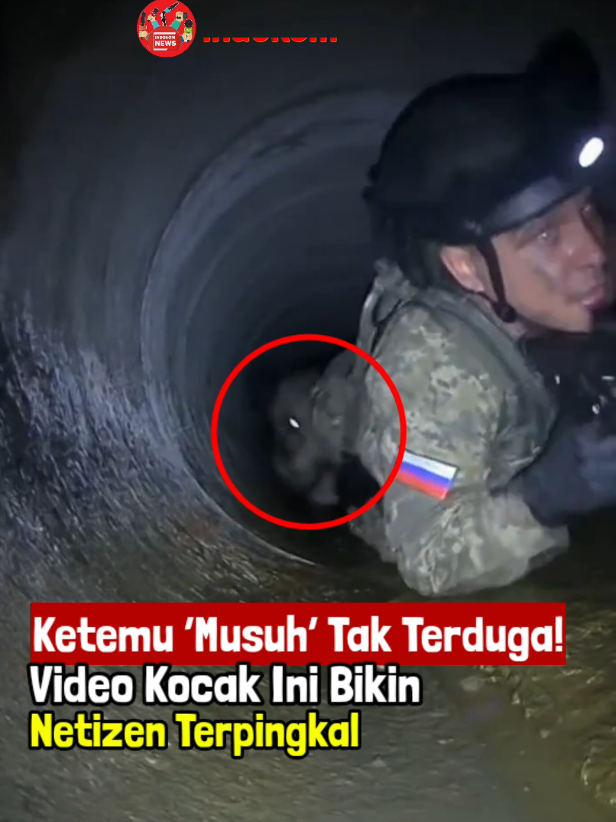 Seorang tentara Rusia dibuat panik setelah seekor babi hutan tiba-tiba muncul di terowongan bawah tanah di wilayah Kupyansk, Kharkiv, Ukraina timur. Insiden tak terduga itu terekam dalam video yang diunggah akun X @WWIIIAR pada Minggu, 5 Oktober 2025. Reaksi spontan sang prajurit membuat netizen terhibur — ada yang menyebutnya “misi sabotase babi hutan”, ada pula yang bilang “alam juga ikut melawan”.  #Kupyansk #Kharkiv #Ukraina #Rusia #PerangUkraina 