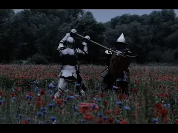 Dequitem - Blood flowers #knight #medieval #fight #History #edit @TheBonerForce @Dequitem 