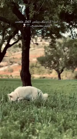 خليك مصحصح🖤⌛️#تصويري📷 #عباراتكم #fyp #exboyfriend #tiktok 