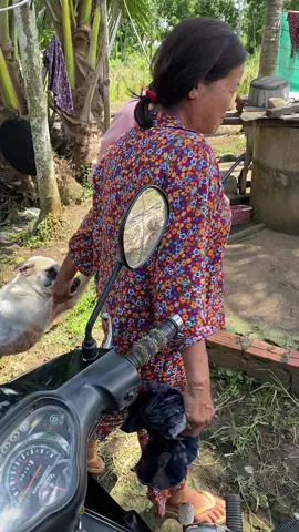 ការអត់ធ្មត់មានដែនកំណត់#views #khmer #dog #cute 