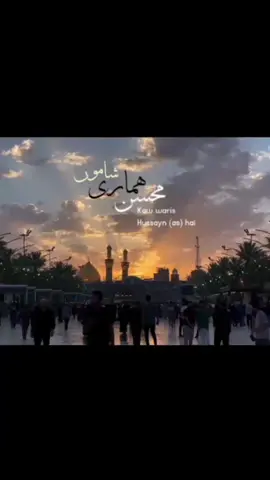 Mohsin hamari shamon kaw waris Hussayn (as) hai🤎🕊️✨ #shiastatus #ahlulbait #watsapp_status #viewsproblem #unfrezzmyaccount 