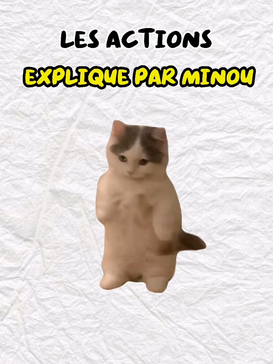 Les actions expliqué par Minou :) #chat #minouexplique 