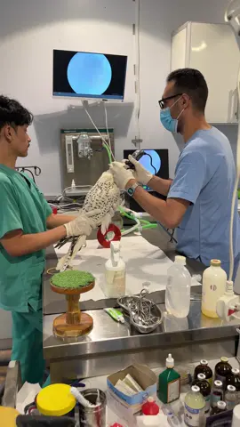 #ماشاءالله #اكسبلور #الشعب_الصيني_ماله_حل😂😂 