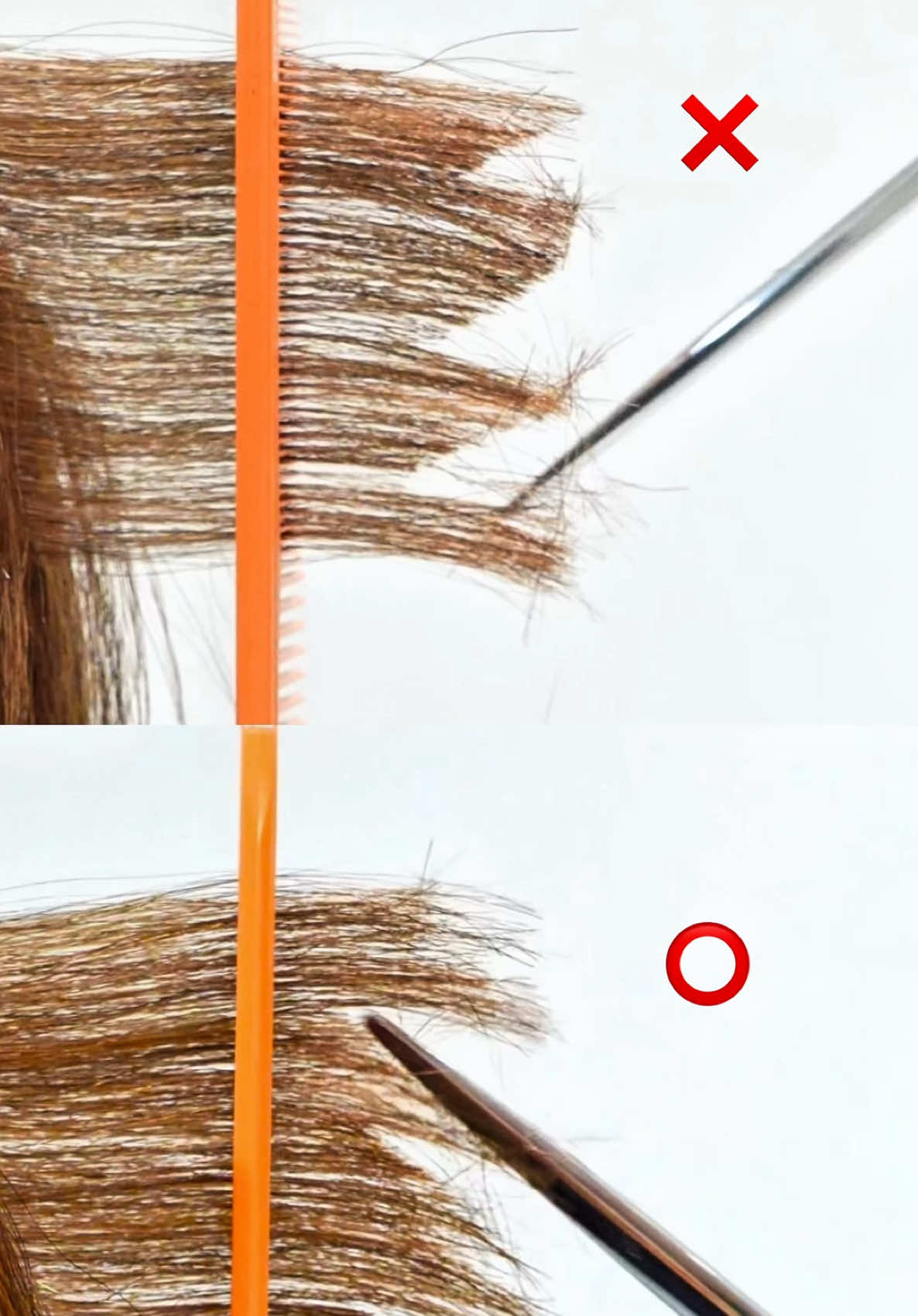 Hair cut Trick ✂︎ ヘアカットは切り方によって形がここまで変わる A haircut can change the shape this much depending on how it's cut. 发型会因剪裁方式而产生如此大的变化 헤어컷은 자르는 방법에 따라 모양이 이렇게까지 달라진다 Hình dáng tóc có thể thay đổi rất nhiều tùy theo cách cắt #hair #haircut  #hairstyle #hairdesign #カット動画 