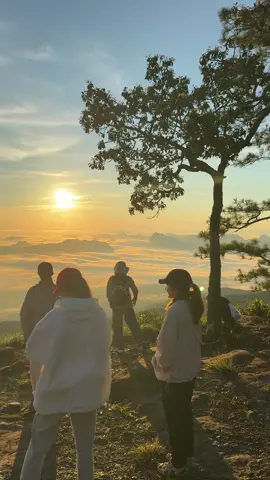 เช้าวันที่ 5 ต.ค.68 #เลย #ภูกระดึง #ผานกแอ่น #พระอาทิตย์ขึ้นยามเช้า #ธรรมชาติบําบัด 