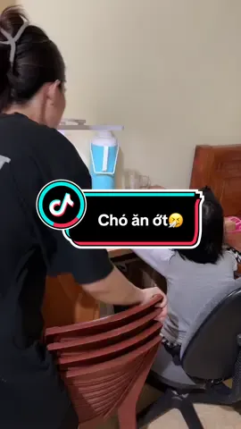 Quyết không cho chó ăn kẹo vì tiếc nhưng có ớt trong đồ ăn không nhặt ra thì mình quá đáng  thật😭,hữu duyên nếu nó chơi tiktok xem được video này chắc cũng tha thứ 🥸 #vuive #giadinh #giaitri #dailyvlog #xuhuong 