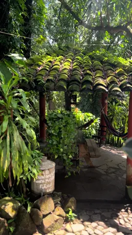 Entre árboles, hamacas y el canto de los pájaros 🌳☕ Así se vive la experiencia en Guazapa Café Suchitoto, un lugar perfecto para relajarte, disfrutar un buen café y conectar con la naturaleza 💚 #GuazapaCafeSuchitoto #Suchitoto #DestinoNatural #ElSalvadorTurismo