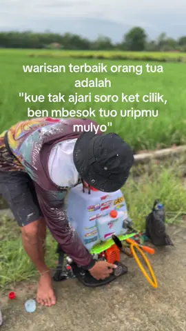 #petanimuda #fyppppppppppppppppppppppp 