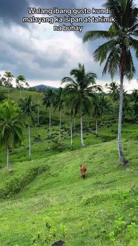 Payapang buhay lang, Lord. 🍃🥰 #blessed #manifesting #nature #fyp #fyppppppppppppppppppppppp 