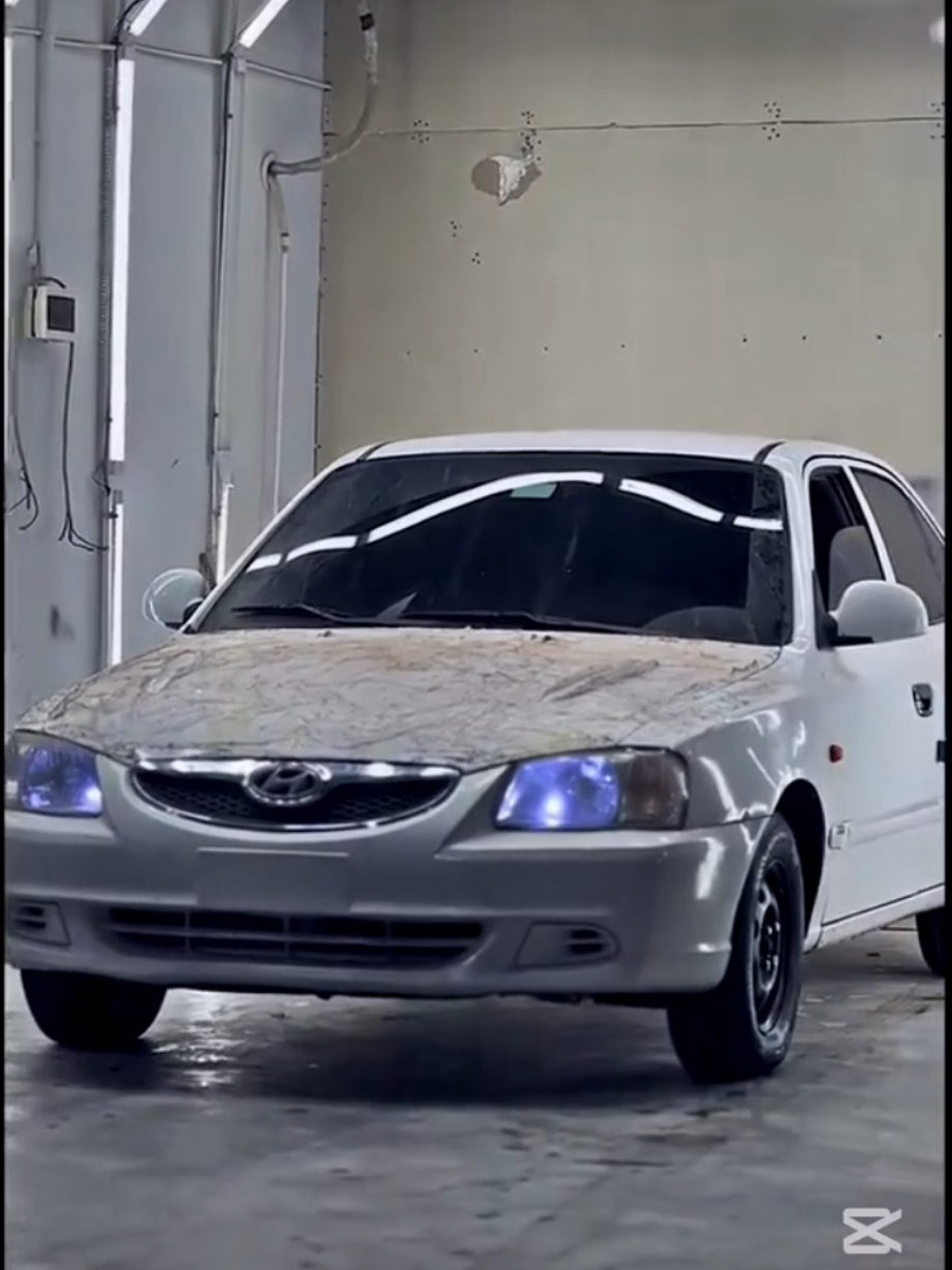 هدا اسد ملك الغابه 😍🔥#CapCut #tik_tok #fyp #تصميم_فيديوهات🎶🎤🎬 #فيرنا_ياكبدي😎🤍 