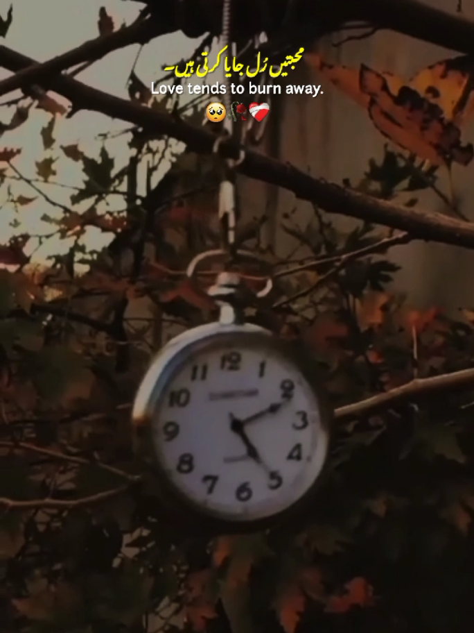 It's Reality 🥺💔 || Egos ❤️‍🩹 || True Lines 💔 || Relationship ❤️‍🩹 || Sad 💔 || Status Video ✨ #fyp #Relationship #reality #lines #broken 