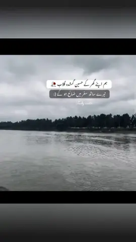 zaya ho gaye 😫🥀🤌🏻#foryoupage #viralvideo #unfreez #my #account 
