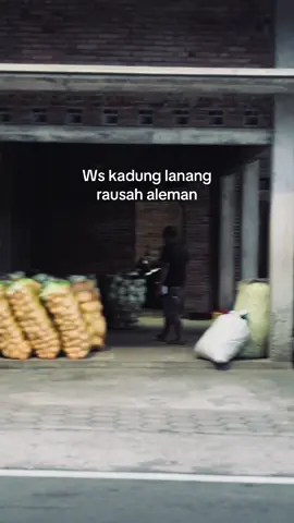 #greencabbage #l300modifikasi_indonesia #promoseruweekend #fyp #pickupgantengindonesia 