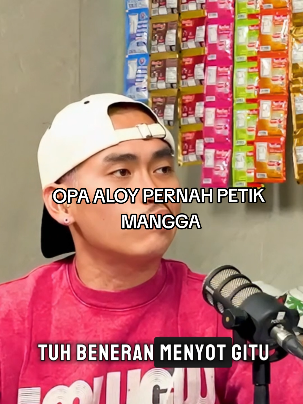 Opa Aloy pernah petik mangga 🫣 #aloy #kingaloy #gofar #pwk #fyp 