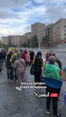На бал Хризантем ✨ #kharkiv  #kharkivlive 