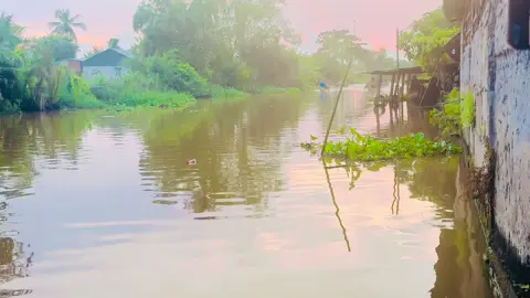 Màng thử sức của 🐉🐉tum núp 2 và tum núp1