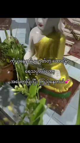#fyp #fyp #fyp #fyp #မမအတွက်ရေသပ္ပာယ်😔🫶🏻