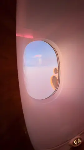 Did I won this trend @Emirates?#aviation #pilot #foryou #viral #plane 