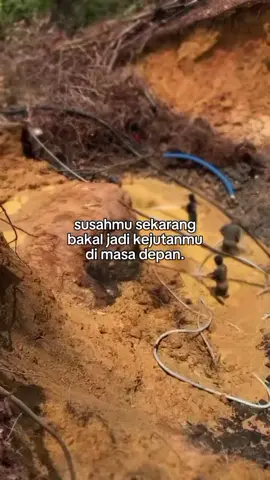 #CapCut #tambangemaskalimantan#fypp#tiktok#fybcabare