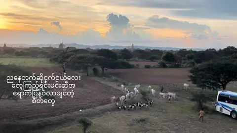 ပုဂံရဲ့နေဝင်ဆည်းဆာချိန်လေးအရမ်းလှ😭💘