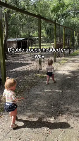 Can you tell they are identical from behind?! #funny #toddler #momtok #toocute 