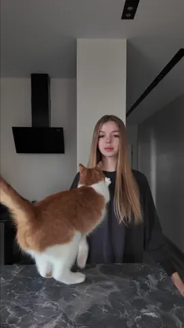 Вот так вот🤪