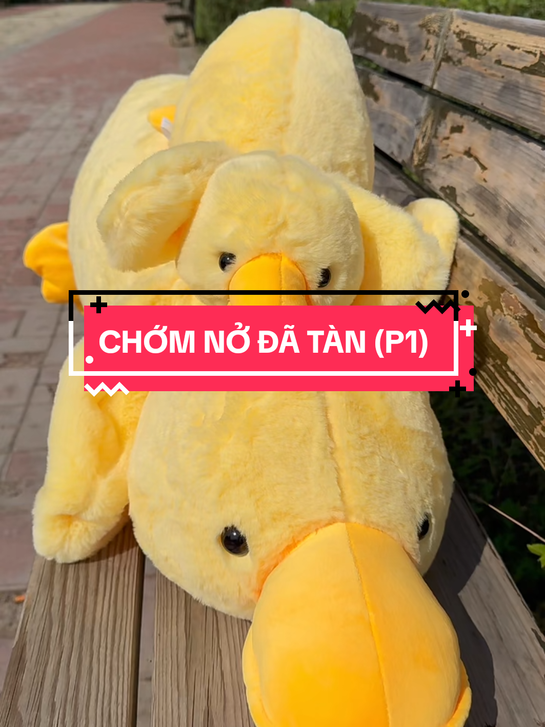CHỚM NỞ ĐÃ TÀN (P1) #nauankechuyen #kechuyen #gaubong #qua20thang10 