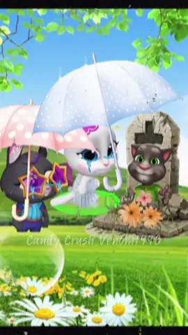 R.I.P Tom #mytalkingtomfriends 