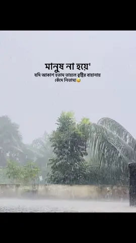 মানুষ না হয়ে যদি আকাশ হতাম তাহলে বৃষ্টির বাহানায় কেঁদে নিতাম!😅