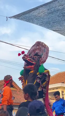 #rogosamboyoputro1289 #jarananindonesia #barongan #jaranantiktok 