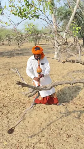 Will such a big snake be caught? #wildliferescue #trendingvideo #foryou #viralvideos #5000k 