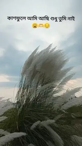 #😭😭😭😭😭😭💔💔💔💔 