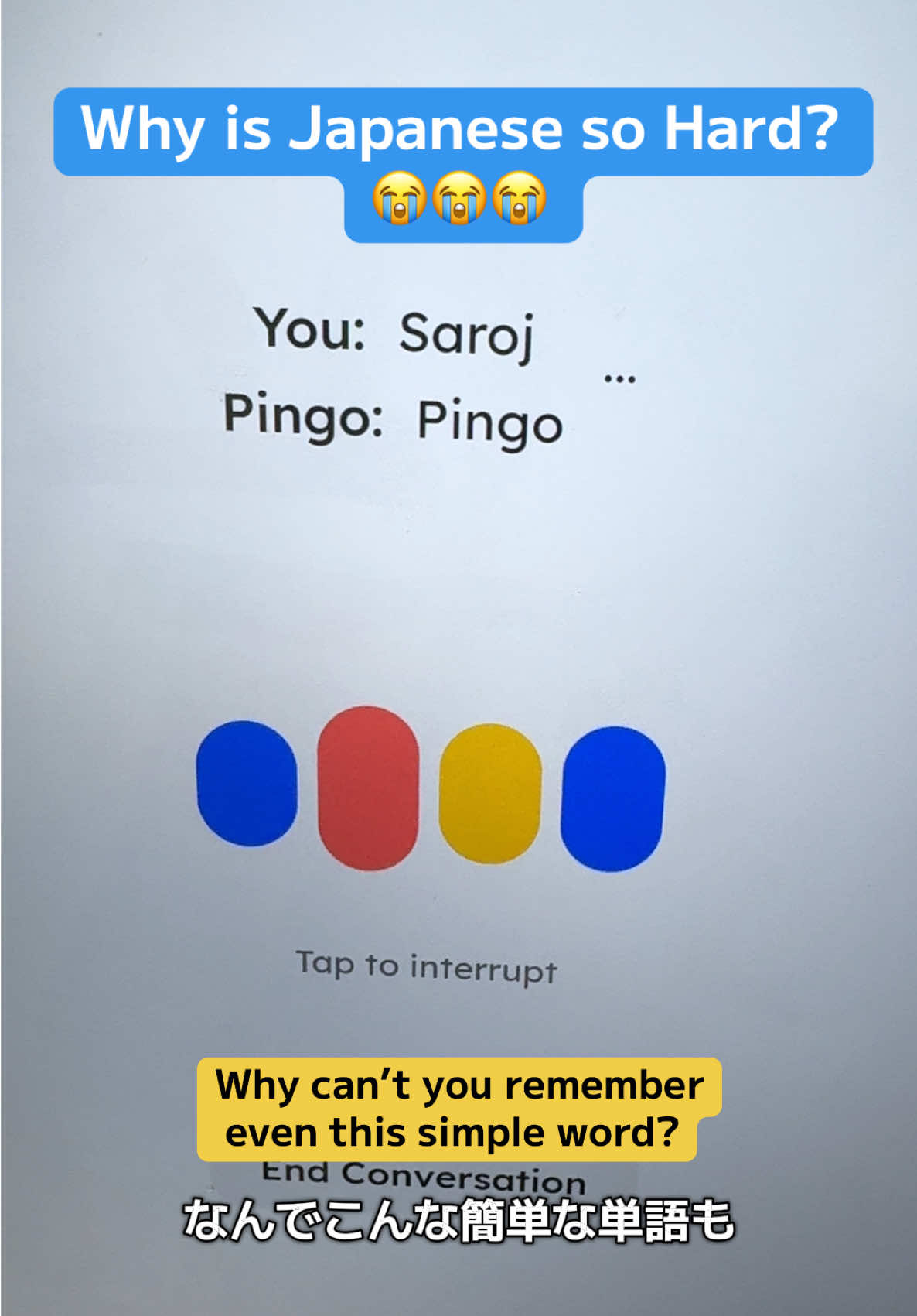 もうやめてよ！　😭😭😭😭😭 Learning Japanese with PingoAI  #learningjapanese #pingoai #japanesewords #japanesevocabulary #japaneselearningapp 