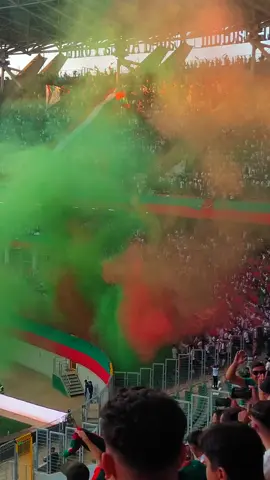 #viragesud #chinwi #مولودية🇧🇬🇧🇬_نعشق_فيهااا💚 #mouloudia_1921❤💚 #mouloudia_lens 