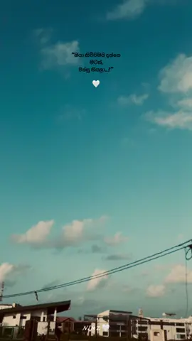 🤍 #100kviews #flypシ #viral #sinhalaquotes #viralvideo  @Sasiii 💋! @𝐒 𝐇 𝐈 𝐅 𝐀 𝐍 ™️ @🧿>𝕊ℍ𝔸ℕ<🧿 @𝓓__𝔃𝓪𝓪𝓷...🤍 @🕊️ @manori9293 @R🤍 @Kavi Sulo @Nalan Akiii - GG_ZYCO_TT 