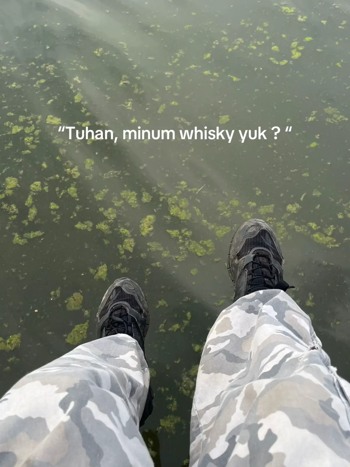 #lihatkebunku 