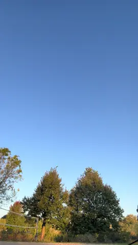 So I’m sitting here walking Ty and I noticed  i started swinging the same arm and leg at once. So here’s my attempt on running and swinging the same arm and leg at the same time  🤣🤣🤣 #goofy #fyp #comedy