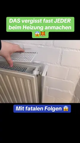 Hast du DAS gewusst? 😱🦊 Den Link zur Reinigungsbürste findest du im Linktr.ee Link auf meinem Profil 🙏 #lifehacks #tippsundtricks #heizung 