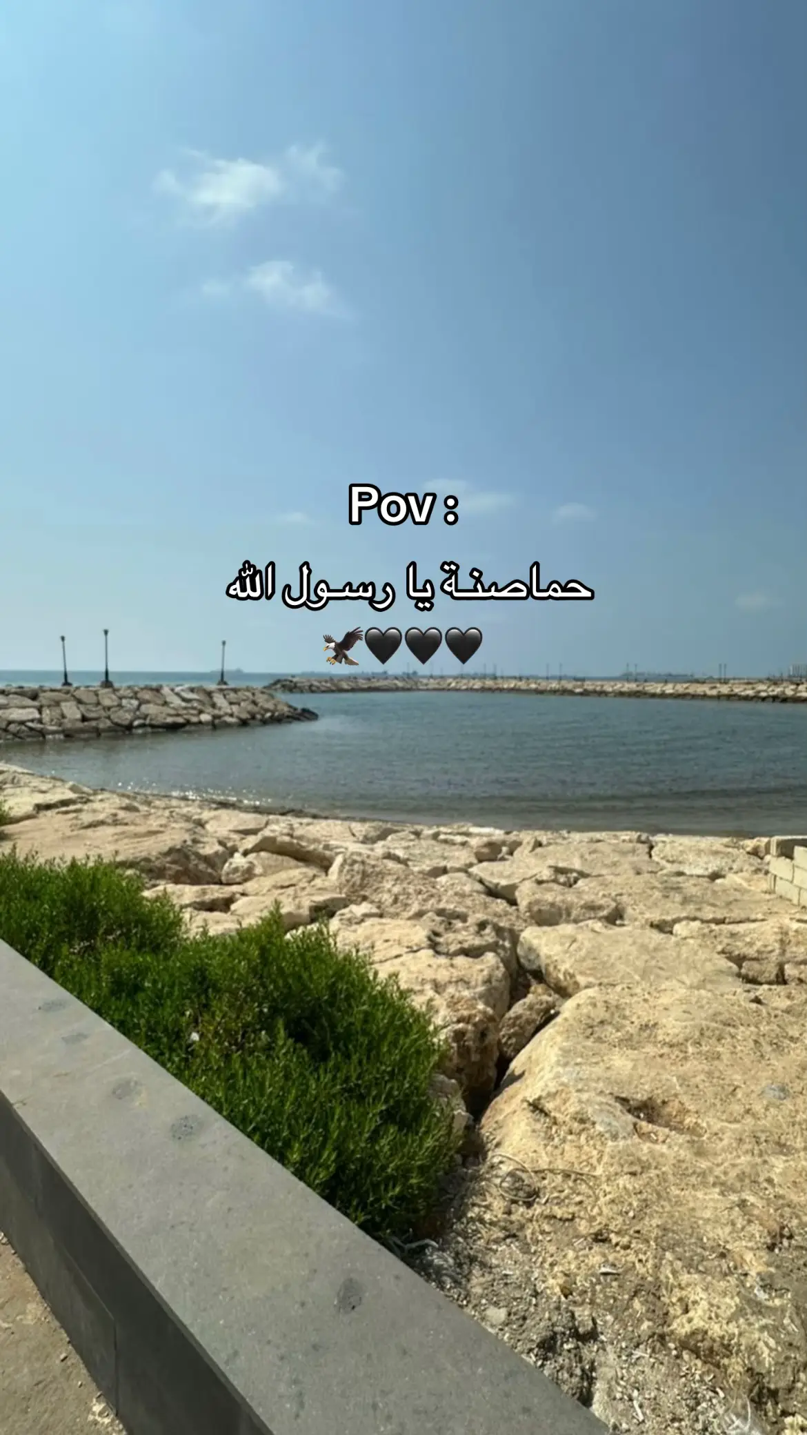 #حماصنة #حمصية☺️ #حمص #syria #syria 