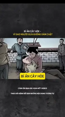 BÍ ẨN CÂY HÒE- VÌ SAO NGƯỜI XƯA KHÔNG DÁM CHẶT#LearnOnTikTok #tamlinhhuyenbi #truyenma #kinhdi 