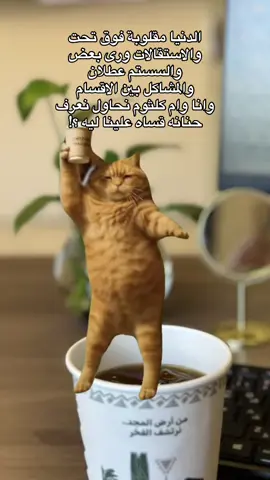 اتبعوا قاعدتي 🙈🙉🙊لمشاكل اقل      #امكلثوم #work #fyp #الشعب_الصيني_ماله_حل😂😂 #foryoupage 