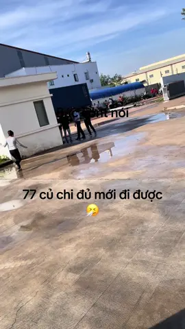 #follow #một giây bất cẩn bác tài làm con đường ngăn cách đôi bờ, 77 củ khắc phục hậu quả 🤧