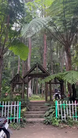 Tempat santai tenang adem di kab.malang #rekomendasitempatnongkrong #malanghits #fouryou #fyp @pinus_cafe 
