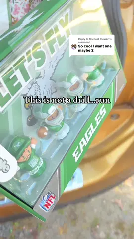 Replying to @Michael Stewart grab now before gone and save for Christmas this Little People Collectors NFL series @QVC, Inc #littlepeoplecollector #littlepeoplecollectorset #littlepeoplenflset #toy #toys 