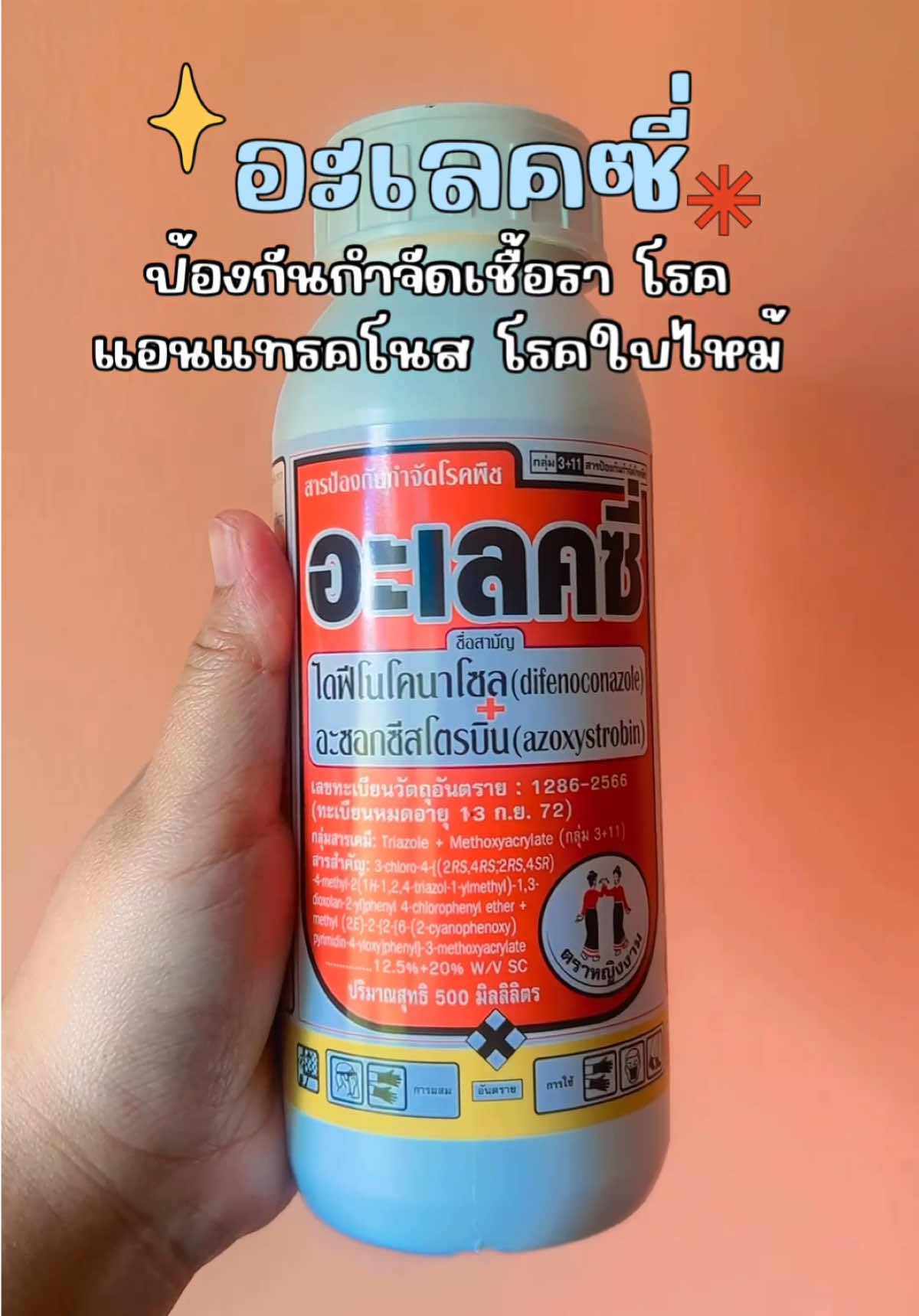 #อะเลคซี่ #อะเลคซี่ตราหญิงงาม 