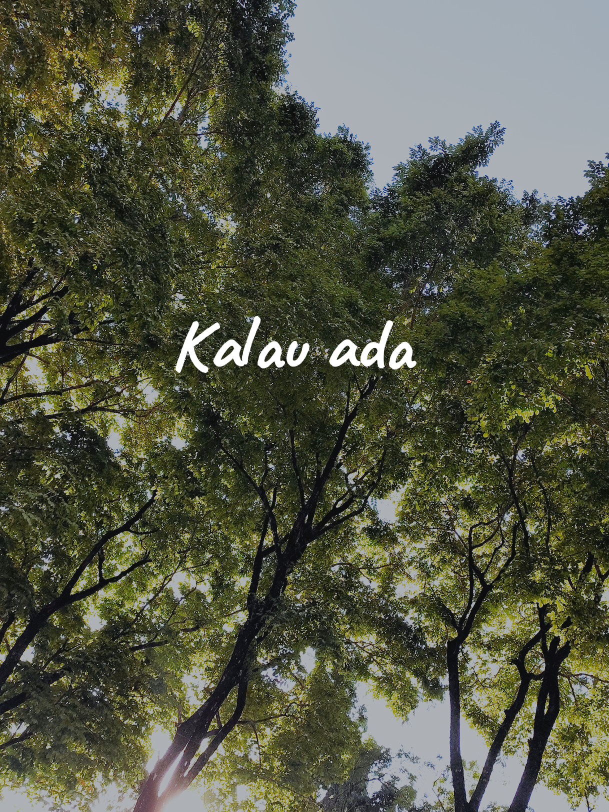 Masih terngiang-ngiang #songviral #trending #fyp #viral #rizkyfebian 