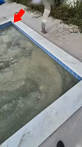 This Guy Cleans The Pool In A Second #fyp #knowledge #Amazing #reels #shorts 