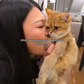 nina’s such a cat mom and somi is adorable #ninalin #ninadaddyisback #twitch #🇨🇳 #fyp @Nina Lin 
