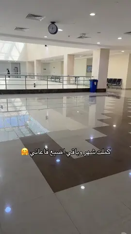 #جامعة_نجران #نجران #explore #tiktok #foryoupage 